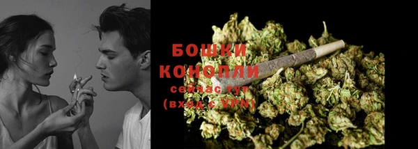 гидра Белокуриха