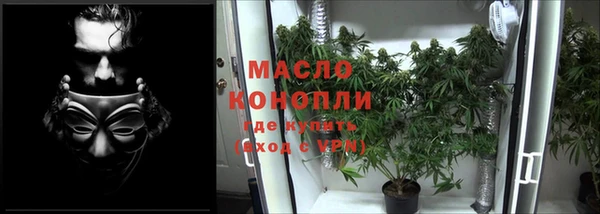 гидра Белокуриха