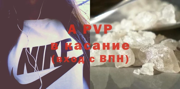 гидра Белокуриха