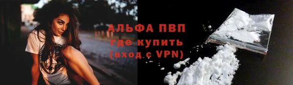 гидра Белокуриха