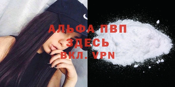 гидра Белокуриха