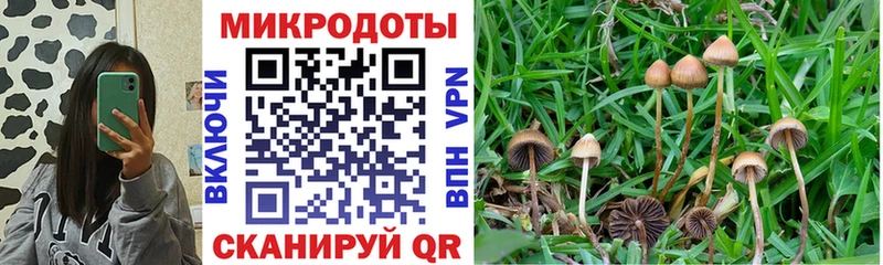hydra ссылки Чапаевск Галлюциногенные грибы мицелий